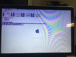 Image result for kernel panic snow leopard