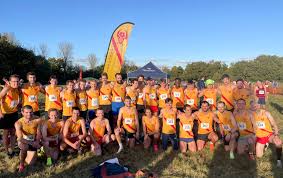 Image result for Hercules Wimbledon A C