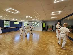 Image result for Alleyn School Of Japanese Karate