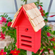 Image result for ladybug house