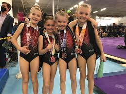 Image result for Phoenix Gymnastics