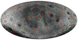 Attēlu rezultāti vaicājumam “Craterium minutum cf. var. brunneum macro”