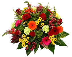 http://t0.gstatic.com/images?q=tbn:ANd9GcSAd14DJngQUOhxCOdSeiN1HGIKlpYg9mCY73fx9c6Yfa4T6Ku0NQ