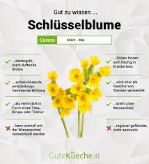 Image result for Schlüsselblumen