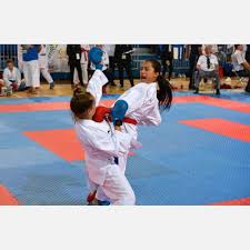 Image result for York University Karate Club