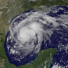 Image result for Hurricanes
