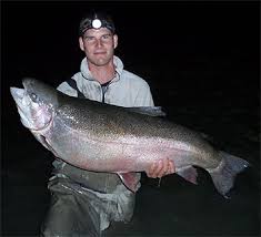 Image result for Oncorhynchus mykiss
