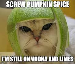 Image result for limecat