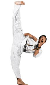Image result for MASTER CHO TAEKWONDO CLUB