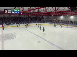 Image result for Basingstoke Bison Ice Hockey Club