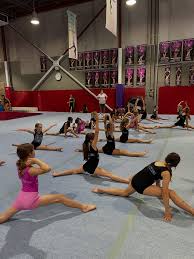 Image result for Hull High Flyers Gymnastics Club