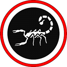 Image result for Scorpion Martial Arts Academy