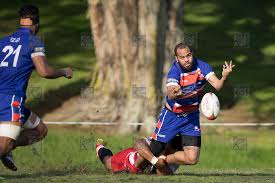 Image result for Chard Rugby Football Club