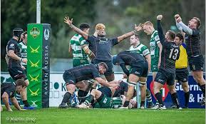 Image result for Rochford Hundred Rugby Club