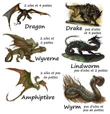 Image result for Wyvern
