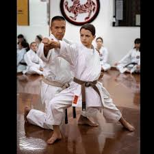 Image result for Thatcham Wado Karate Club