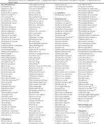 Attēlu rezultāti vaicājumam “Gloeocapsa rupestris”