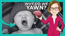 Why We Yawn - YouTube
