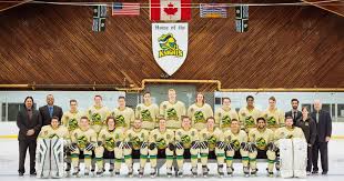 Image result for Surrey Heath Slammers