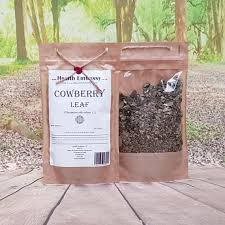 Attēlu rezultāti vaicājumam “Vaccinium vitis-idaea leaf”