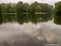 Image result for sonsbeek park