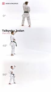 Image result for Jodan Karate