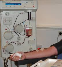 Image result for Autopheresis C