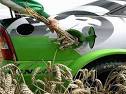 Biofuel for Cars | The Innovation Diaries