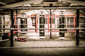 Image result for Cheshunt Amateur Boxing Club