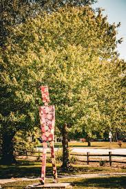 Image result for Thorn Park L T C