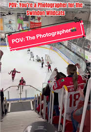 Image result for Swindon Panthers