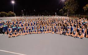 Image result for Paragons Netball Club