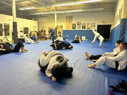 Image result for Hillsborough Judo Club