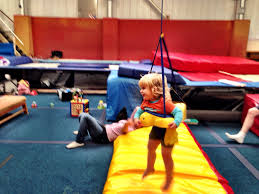 Image result for Torbay Olympic Gymnastics Club