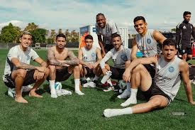 Image result for Newdigate F C