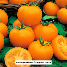 Afbeeldingsresultaat voor oranje van goeienbier tomato