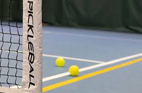 Image result for Dorset Pickleball Club