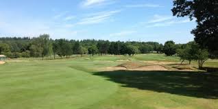 Image result for Leatherhead Swans Club