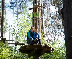 Image result for Go Ape! Alice Holt