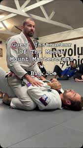 Image result for Revolution Dojo