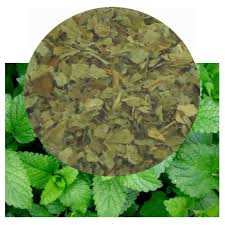 Attēlu rezultāti vaicājumam “Melissa officinalis leaf”