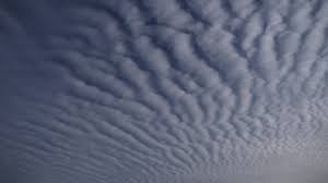 Attēlu rezultāti vaicājumam “altocumulus”