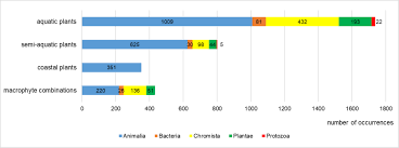 Attēlu rezultāti vaicājumam “Harpanthus flotovianus cells”
