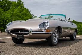 Image result for Warwick Gray 1965 Jaguar