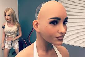 Image result for RealDoll
