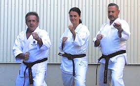 Image result for Devonport Shotokan Karate Club