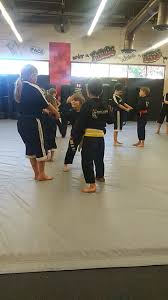 Image result for Precision Martial Arts