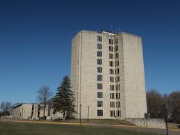 Image result for Mohn