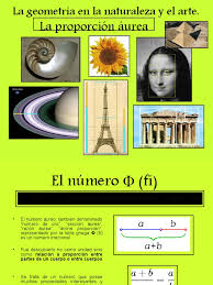 Image result for numero aureo