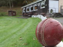 Image result for Wells Cricket Club